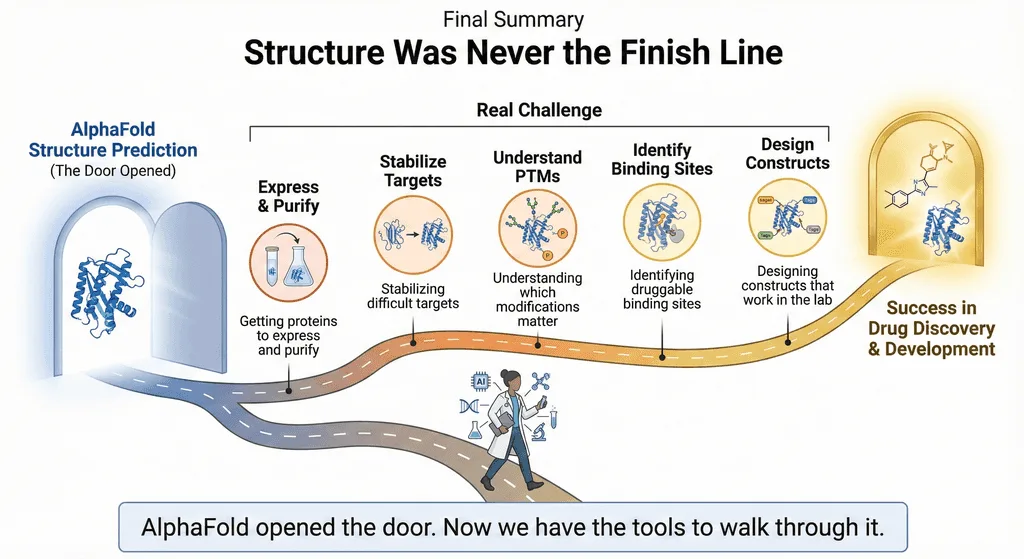 Diagram Showingthe Path from AlphaFold Prediction to Success in Drug Discovery