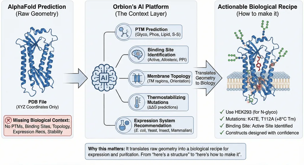 Diagram Showing How Orbion's AI Platform Adds Context to AlphaFold Structure Prediction
