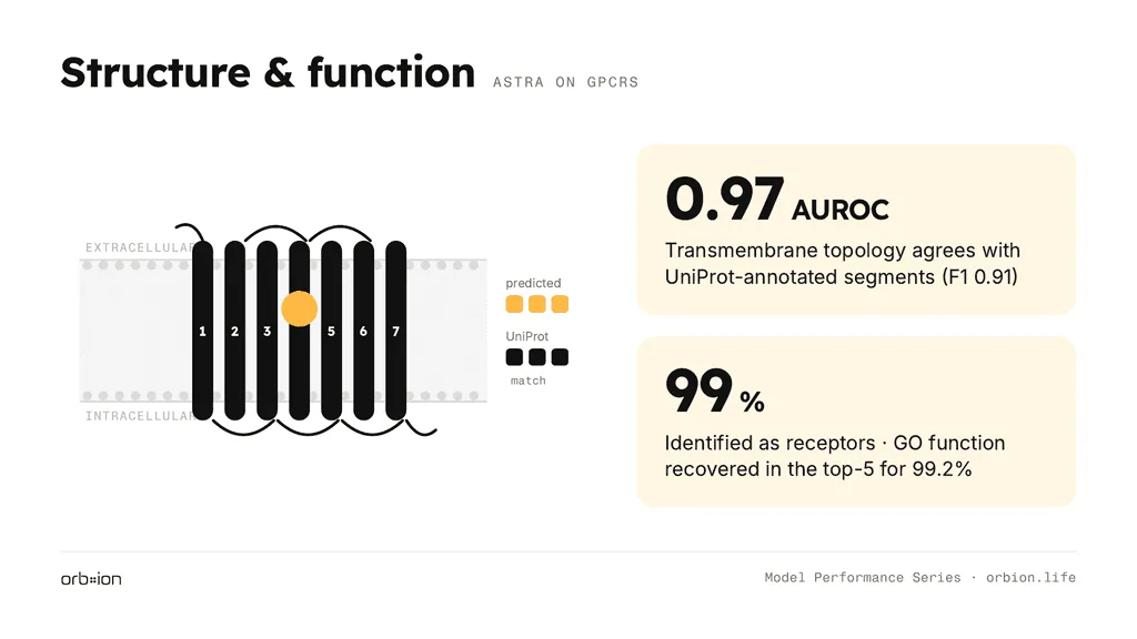 Transmembrane topology agrees with UniProt annotation at AUROC 0.97