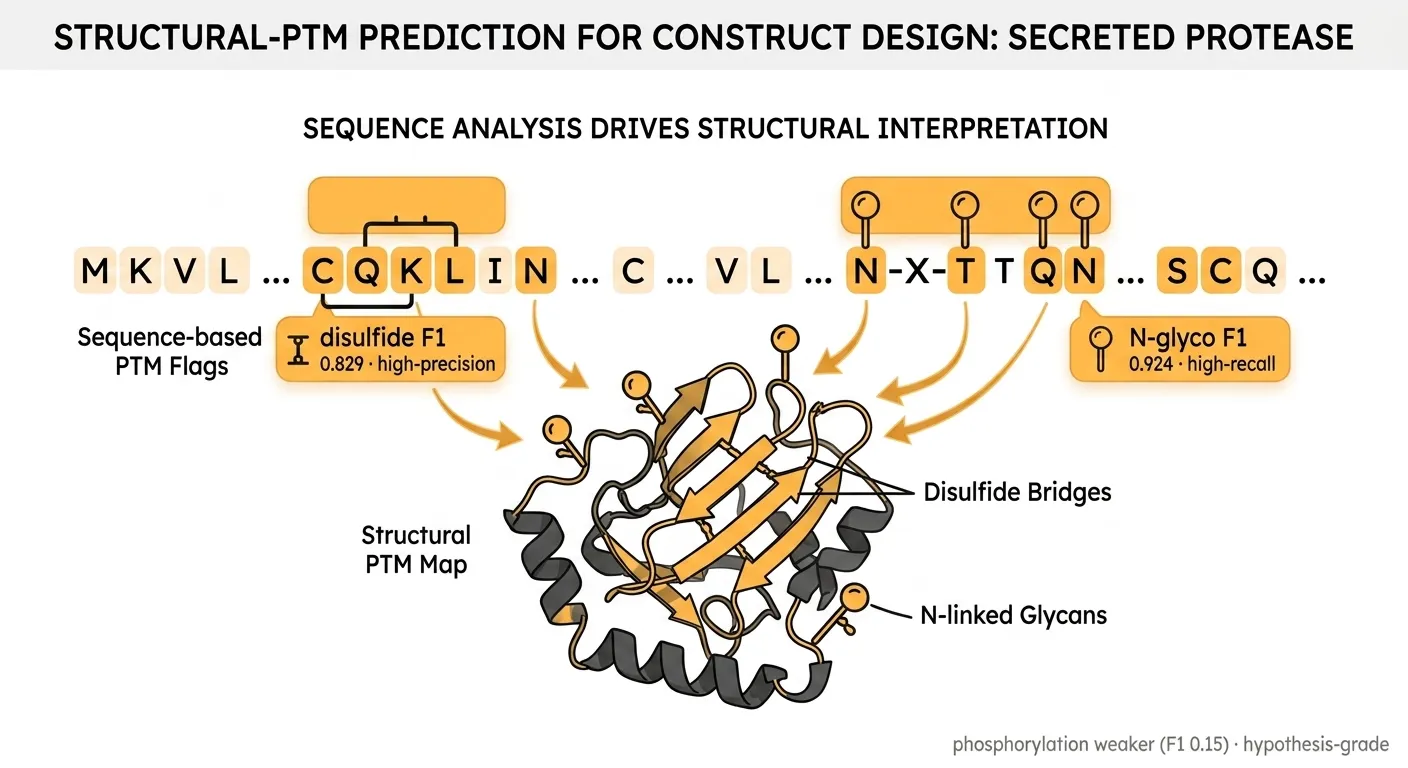 Structural PTMs drive construct design: N-glycosylation F1 0.924, disulfide F1 0.829
