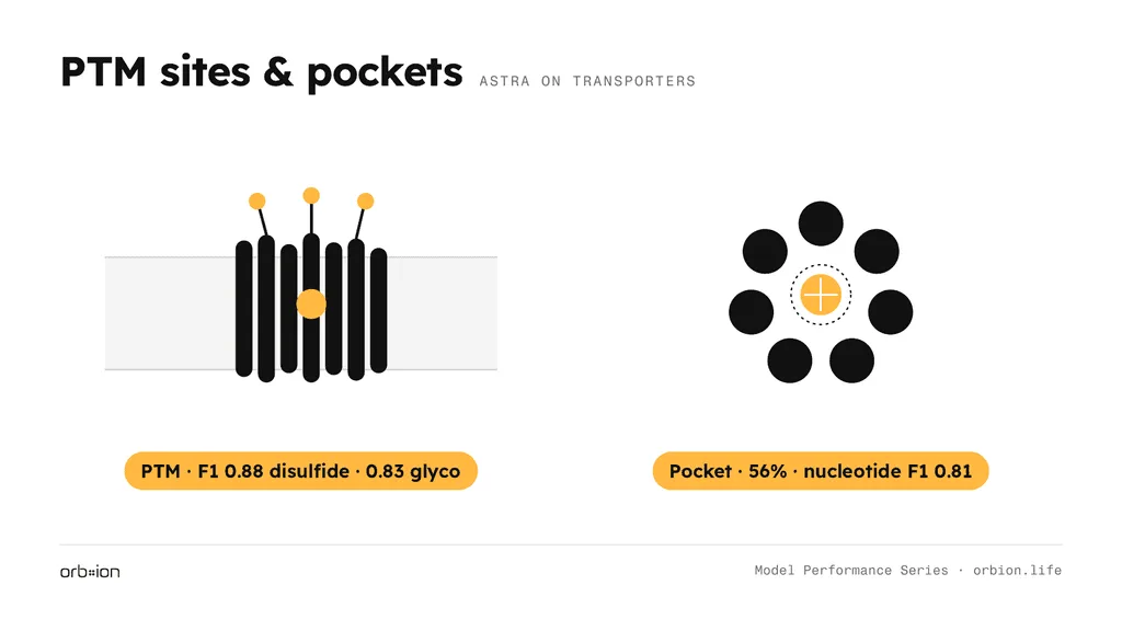 Pocket prediction is carried by chemically well-defined nucleotide sites