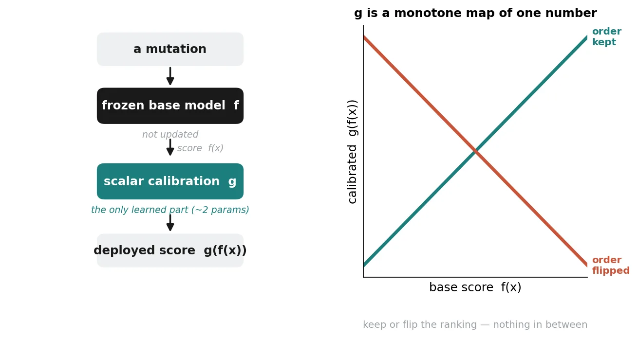 Schematic: a scalar calibration g sits on top of the frozen base model f; because it is a monotone map of one score, it can only keep or flip the ranking.