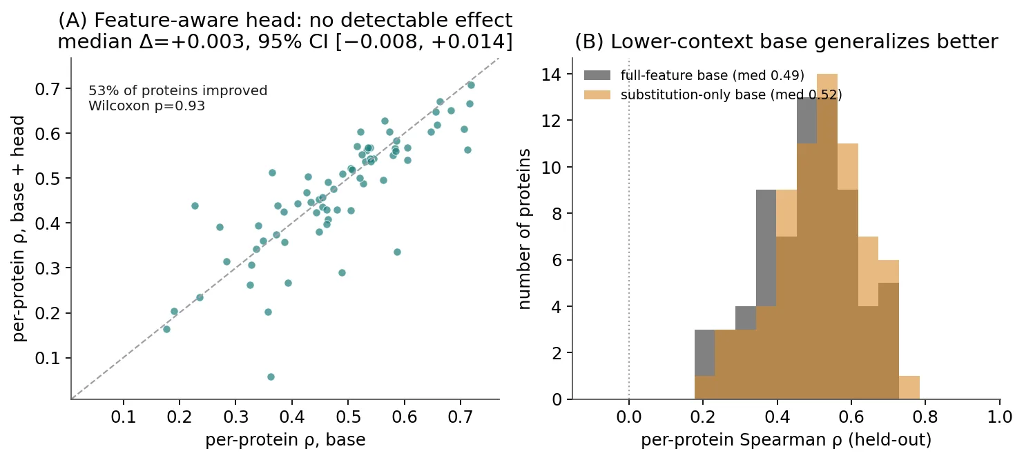 Left: a per-protein scatter of base vs base-plus-head ranking, with points clustered around the diagonal showing the head has no detectable effect. Right: histograms of per-protein ranking for a full-feature versus substitution-only base, with the substitution-only base shifted higher.