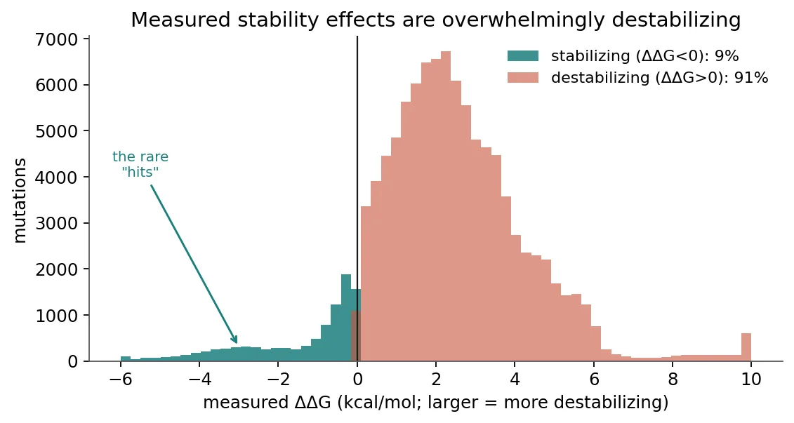Histogram of measured ΔΔG in the public corpus: about 91% of single mutations are destabilizing; the rare stabilizing "hits" are a small minority tail.