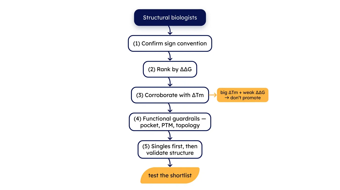 The ranking decision tree: rank by ΔΔG, corroborate with ΔTm, guard function, lead with singles