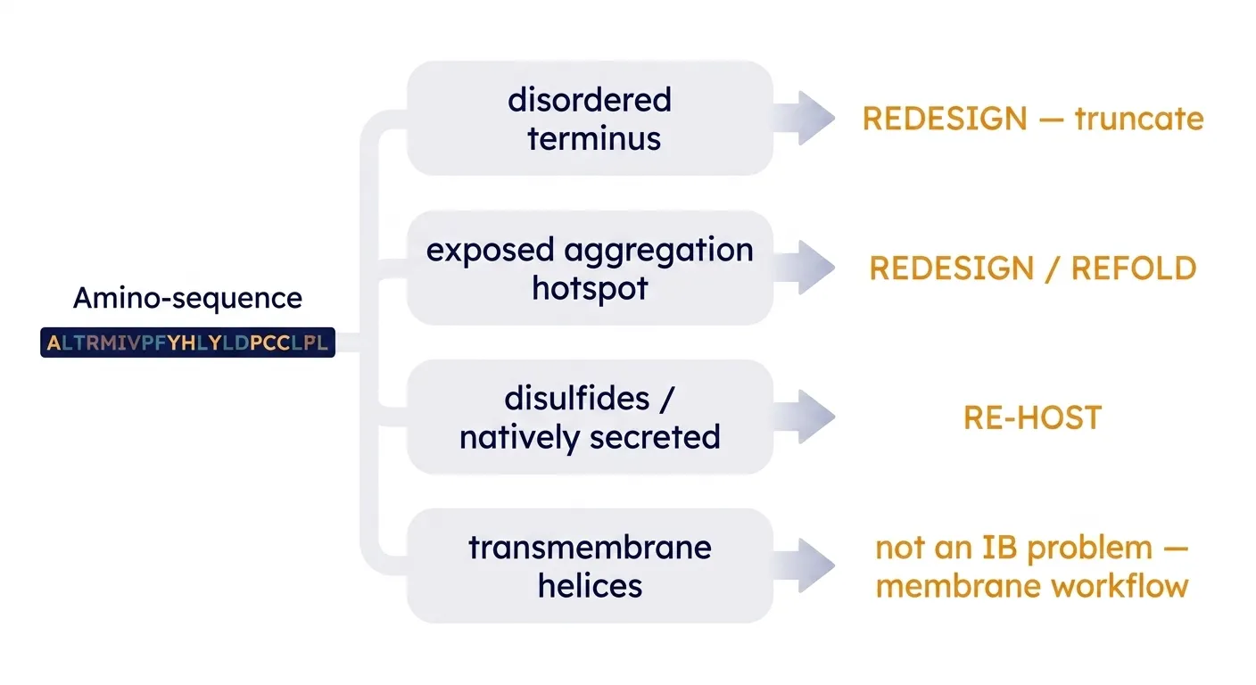 Let the sequence pick the road: four prediction tracks route the decision