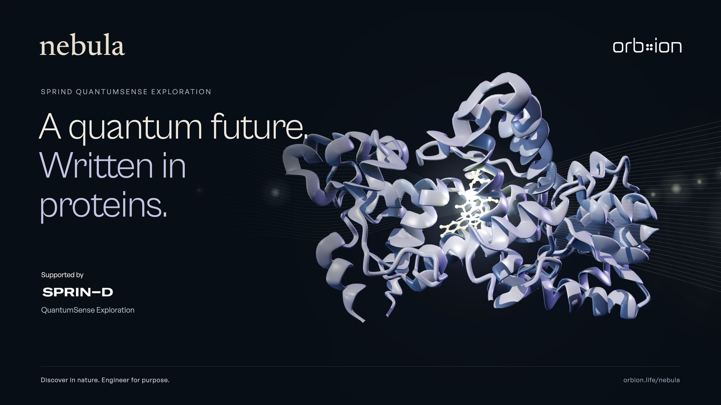 Nebula: A quantum future, written in proteins. Supported by SPRIND QuantumSense Exploration. A lavender reference protein and luminous cofactor appear between incoming light and fluorescence.