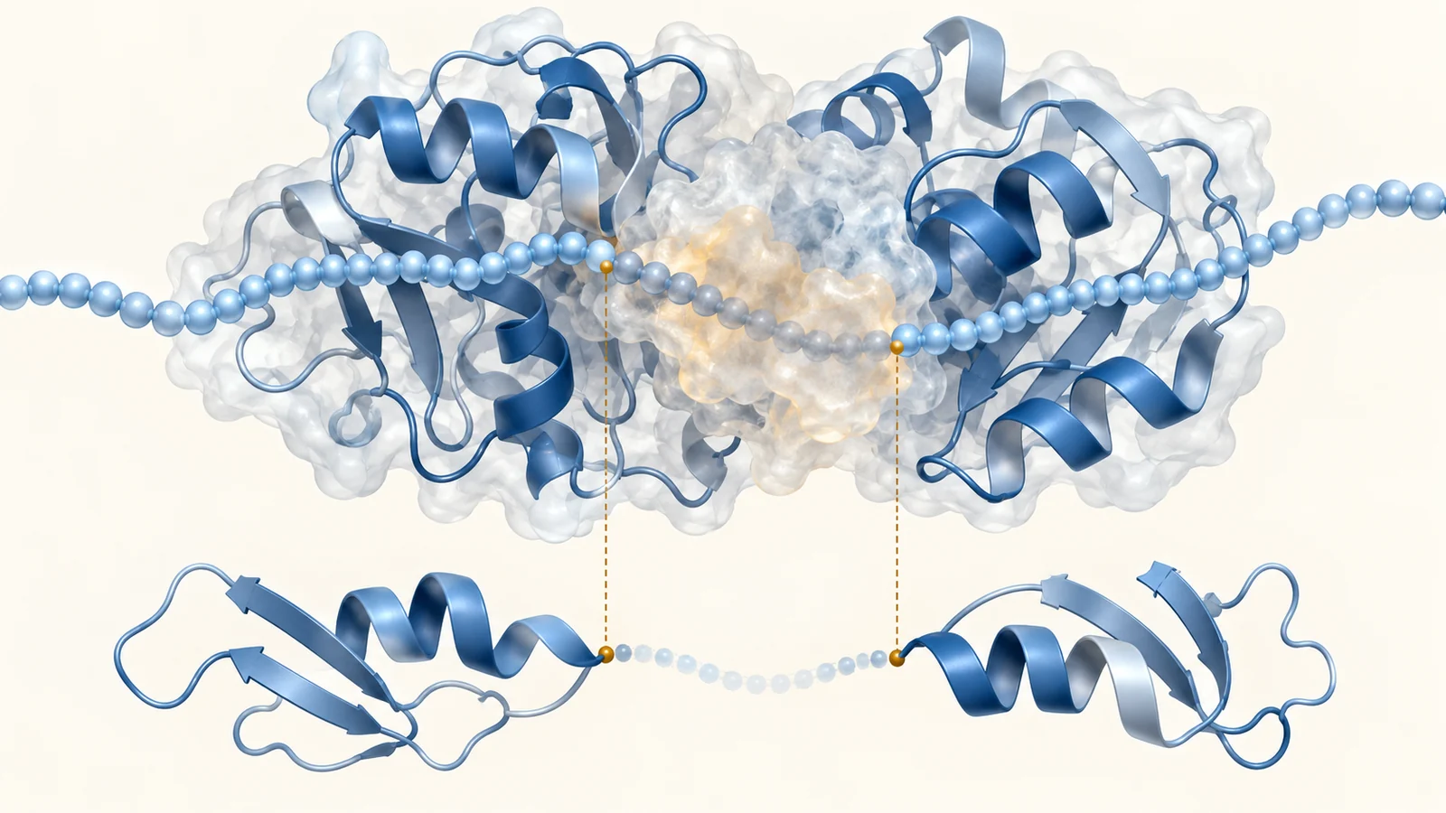 A continuous sequence representation above a structure representation with an unresolved gap.