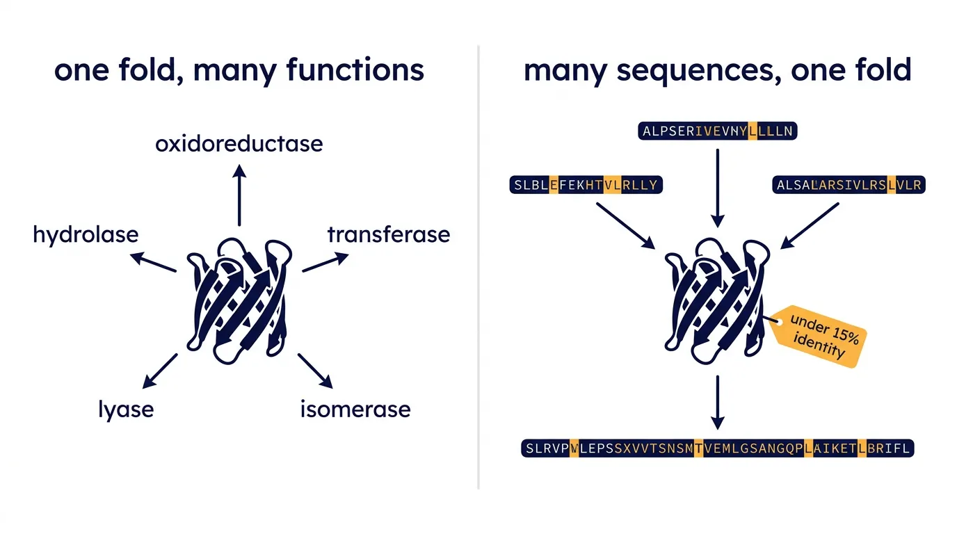 The fold–function map is many-to-many