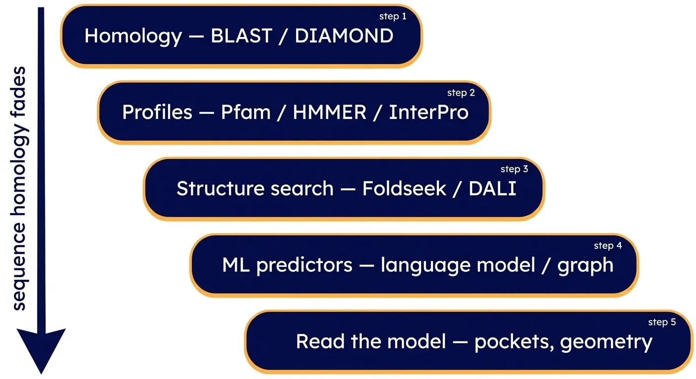 The methods ladder: work from homology down to reading the model