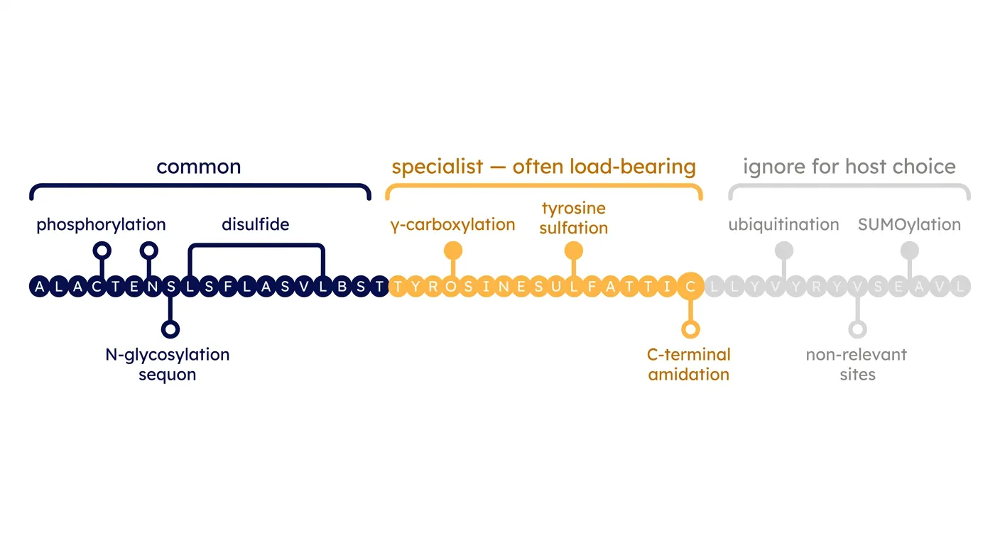 Reading a PTM prediction: common vs specialist vs ignore-for-host-choice