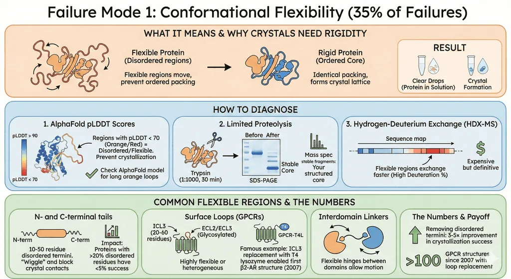 Diagram Showing the Impact of Conformational Flexibility on Crystallization