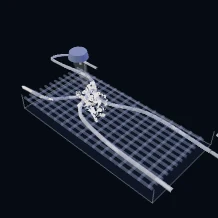 Conceptual living systems illustration